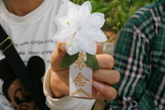 九洲国际官网(中国区)股份有限公司