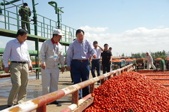 九洲国际官网(中国区)股份有限公司