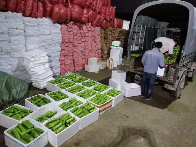 九洲国际官网(中国区)股份有限公司