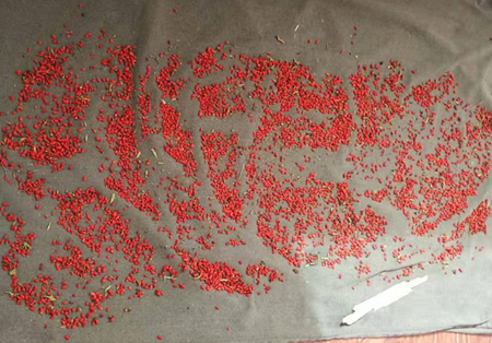 九洲国际官网(中国区)股份有限公司