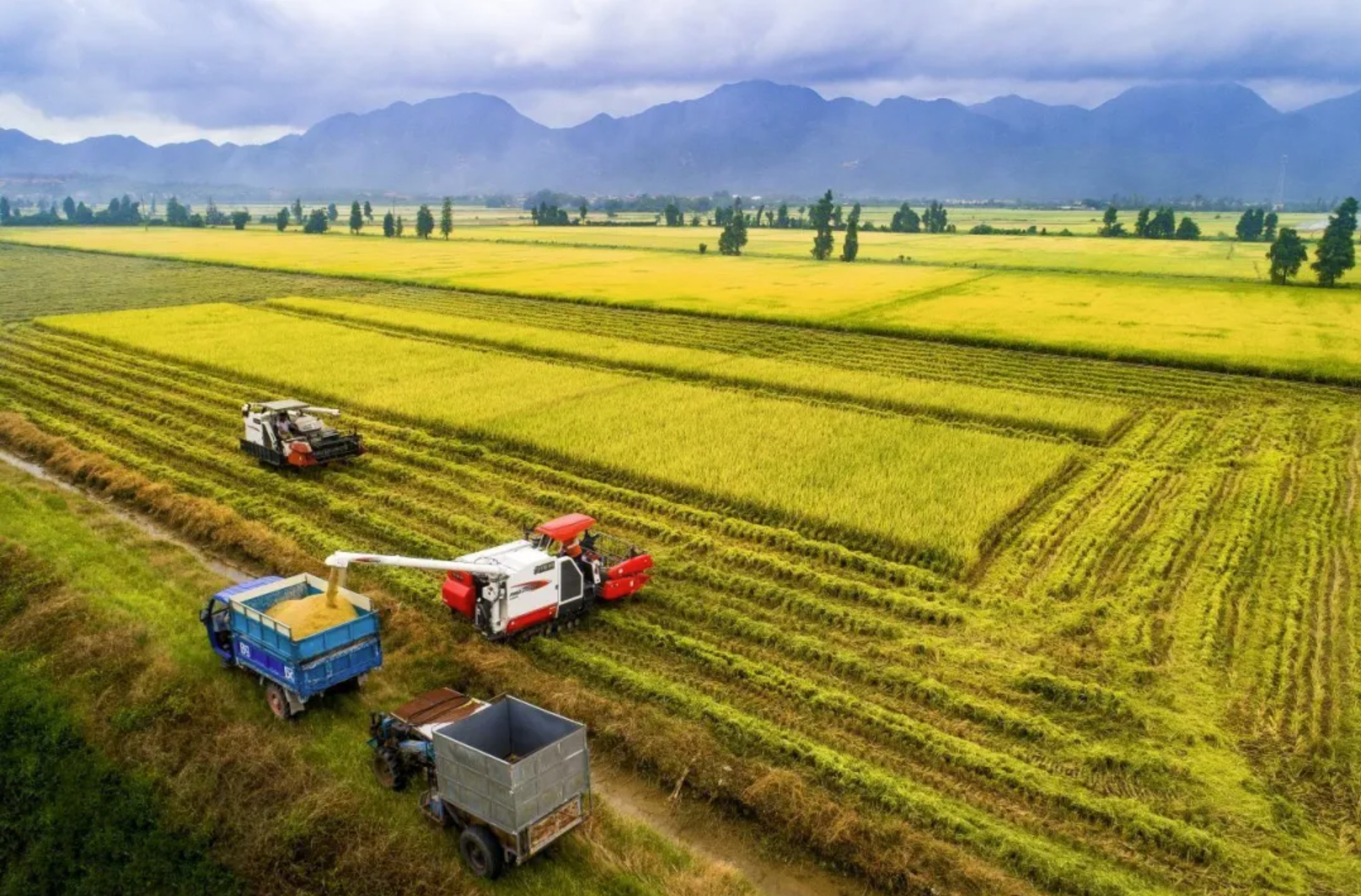 九洲国际官网(中国区)股份有限公司