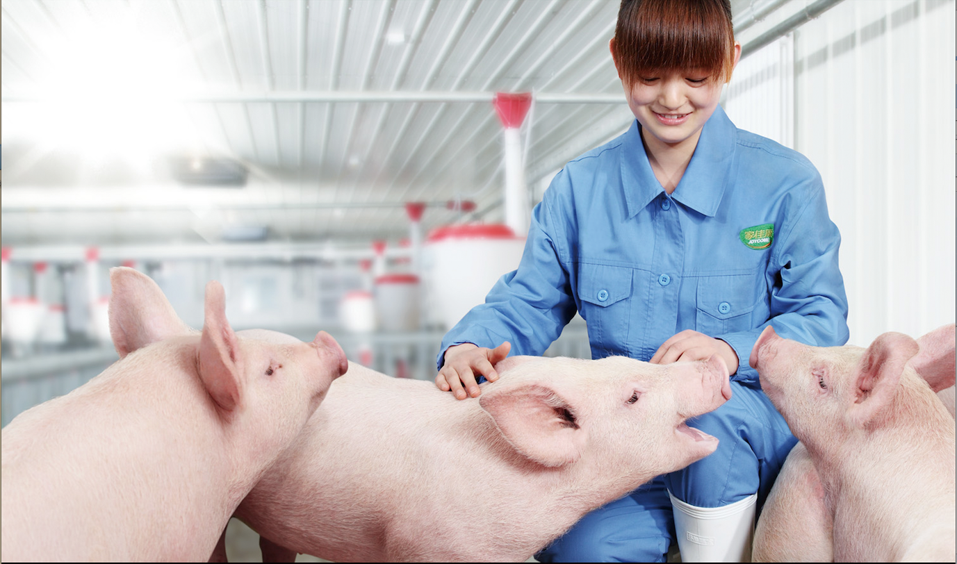 九洲国际官网(中国区)股份有限公司